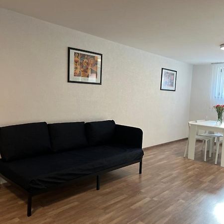 Fewo Haus 4 Lahr  Exteriér fotografie